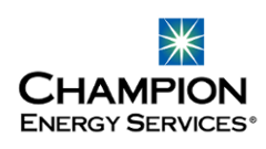 bestikke Boghandel teenagere Champion Energy Services | CallMePower