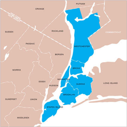 consolidated edison 5 year plan